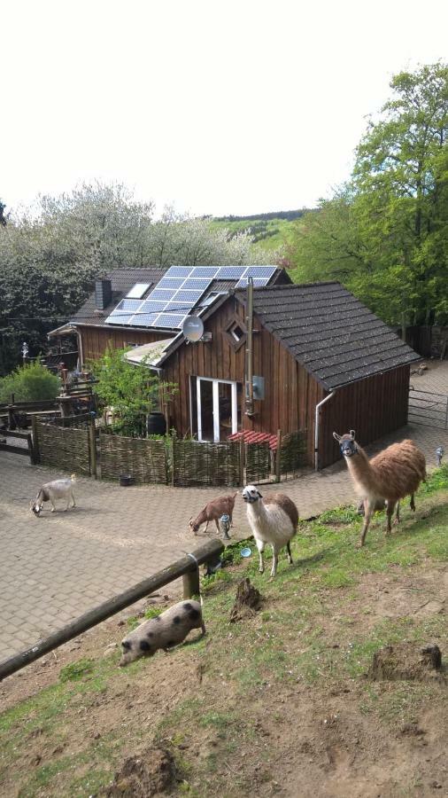 Funny-Farm Villa Sassen Eksteriør billede